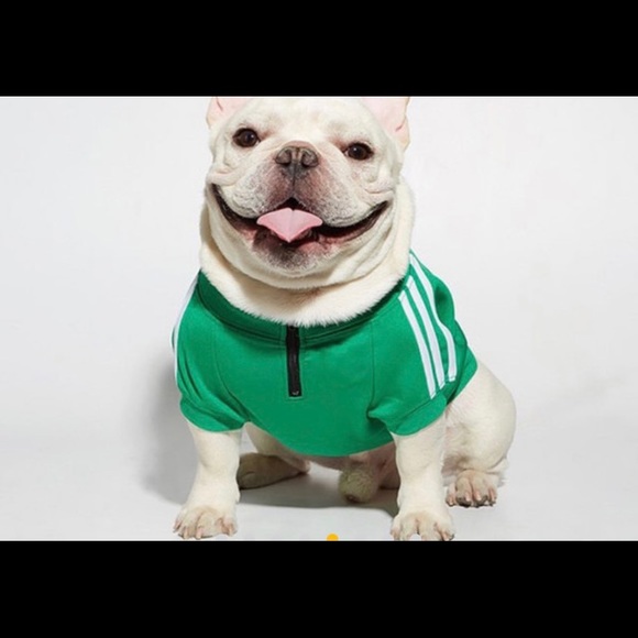 Dog shirt - Picture 2 of 3